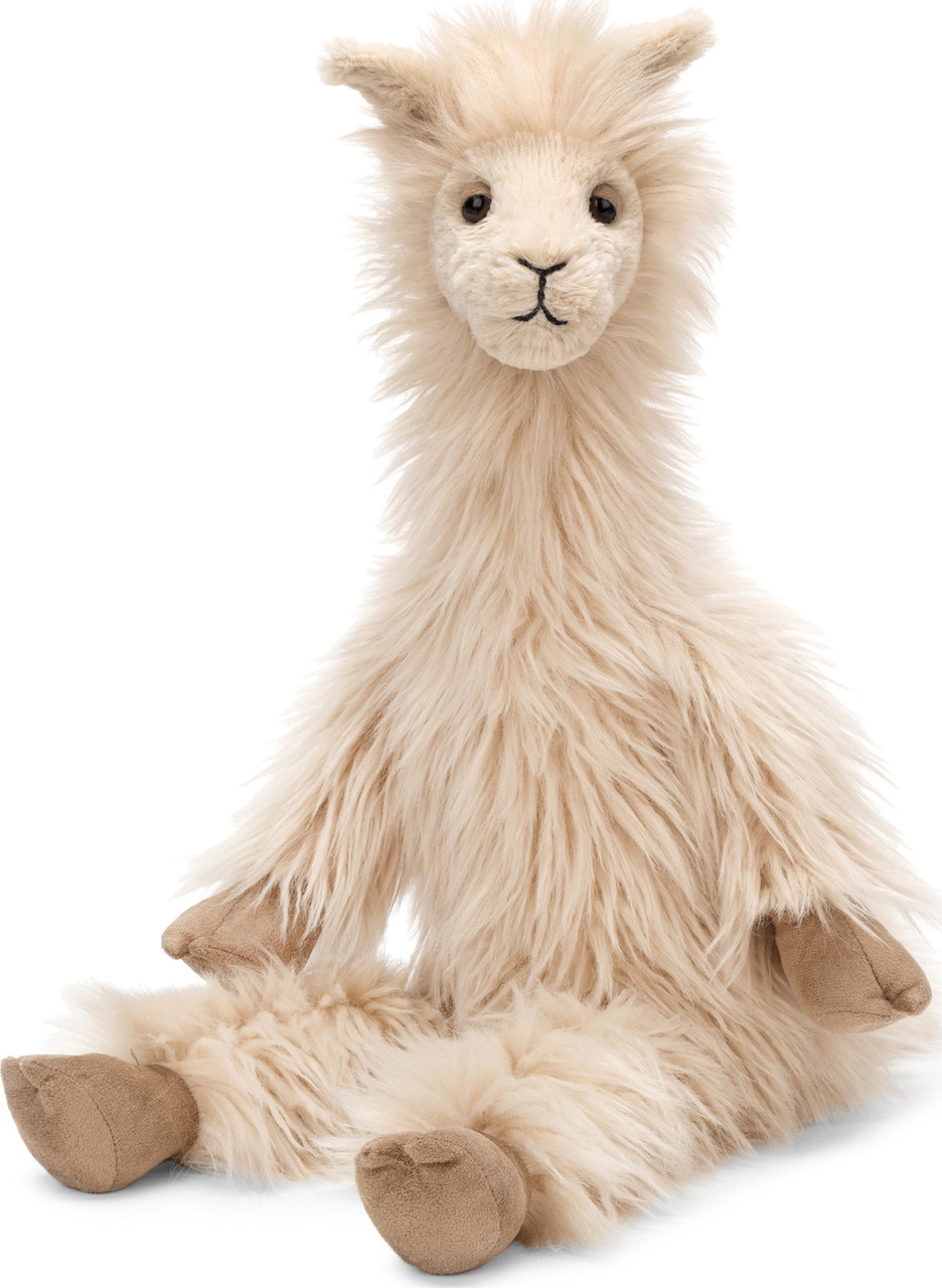 Luis Llama 2