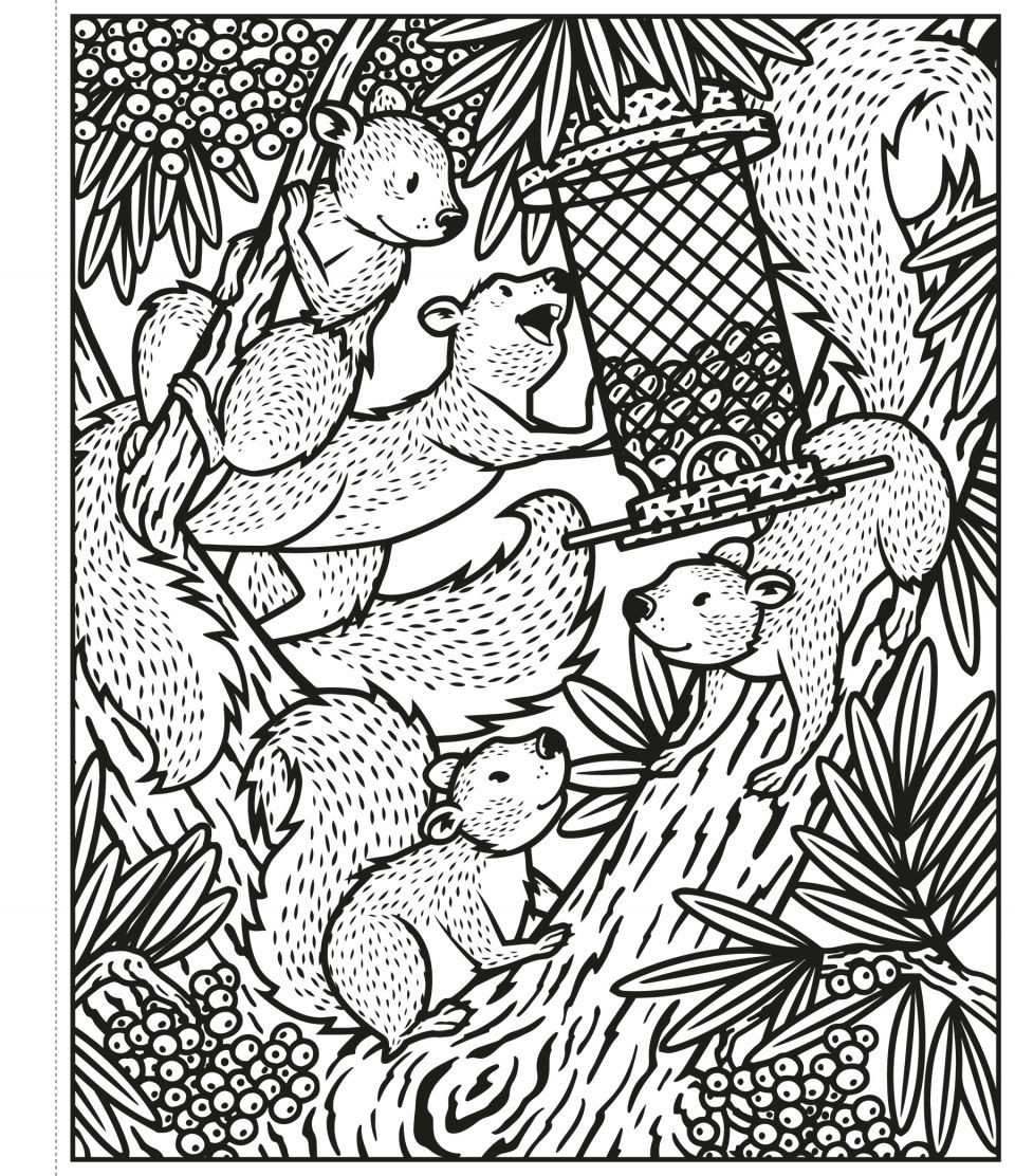 Garden, Magic Painting Book