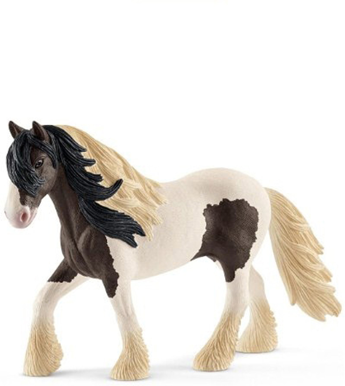 Tinker Stallion 1