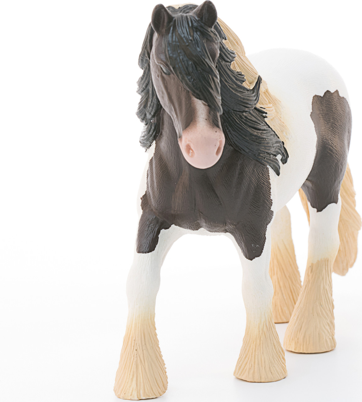 Tinker Stallion 2