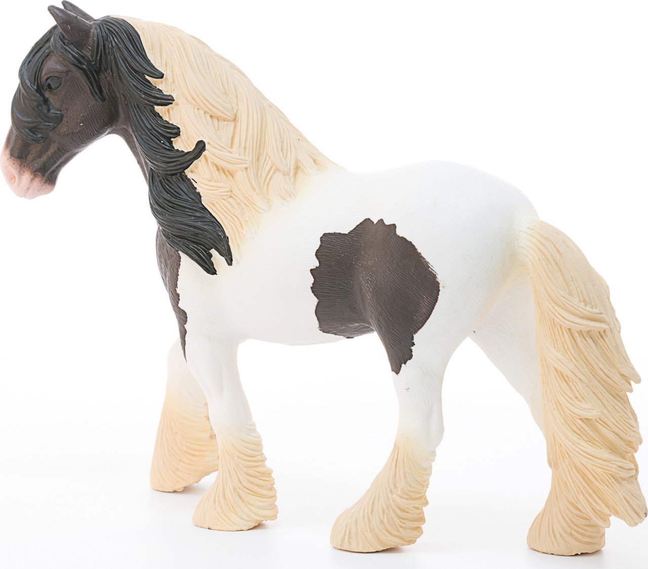 Tinker Stallion 4