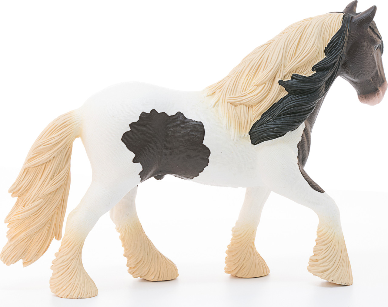 Tinker Stallion 5