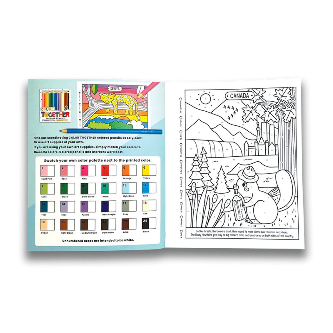 Color Pencils for Stencils and Coloring Books for Kids