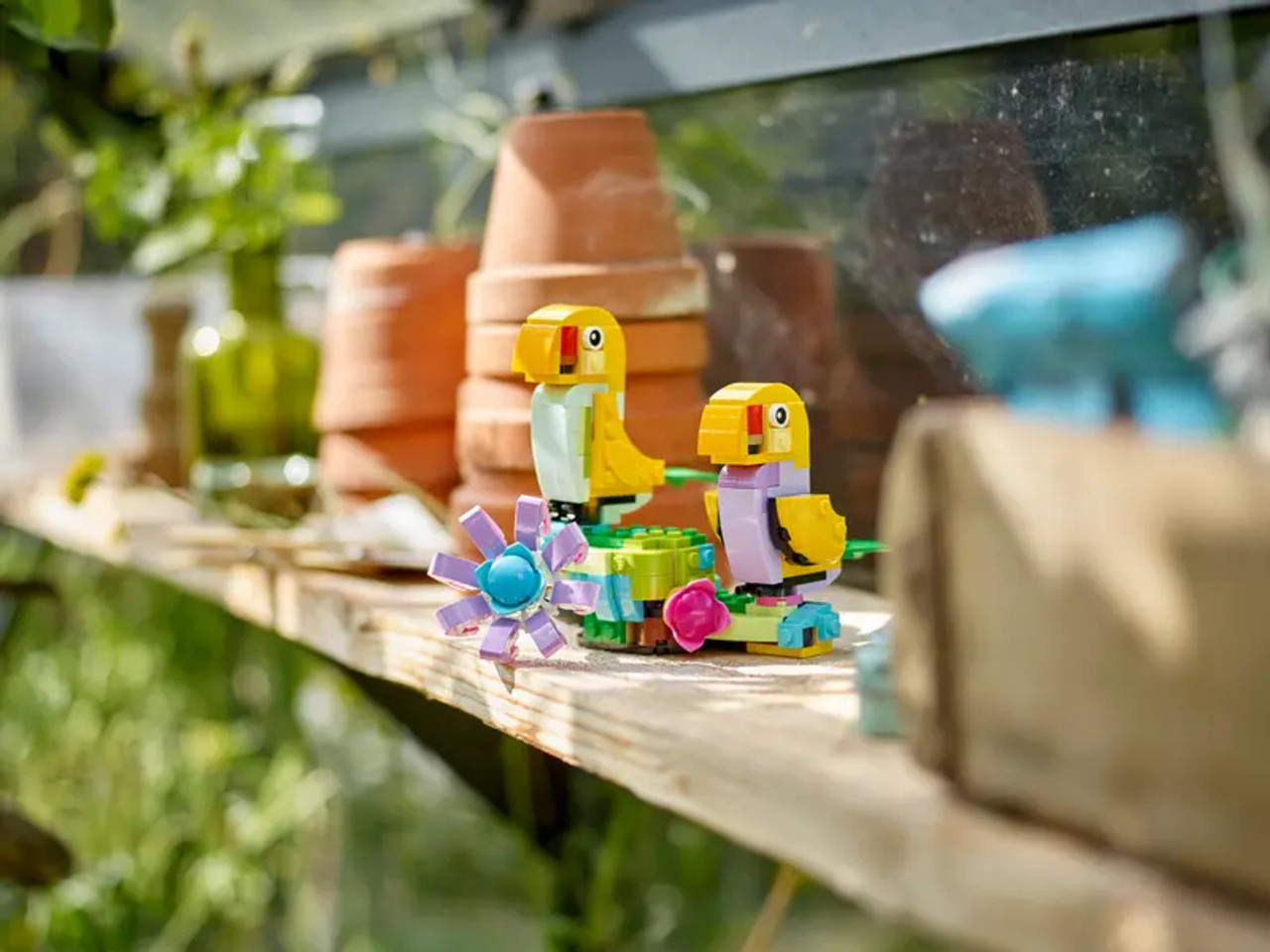 Flowers In Watering Can