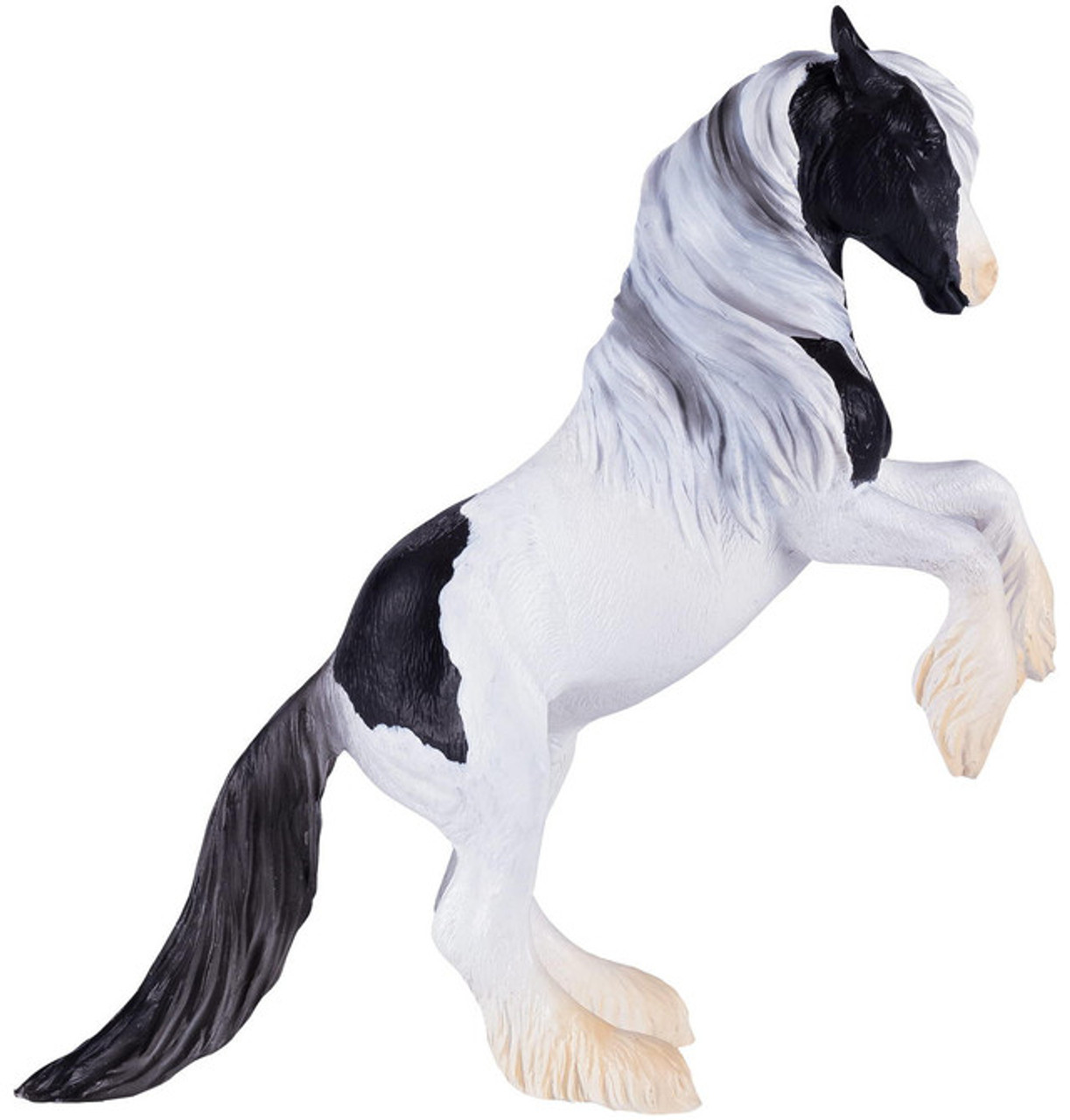 Gypsy Vanner Stallion Horse