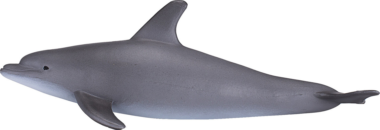 Bottlenose Dolphin 2