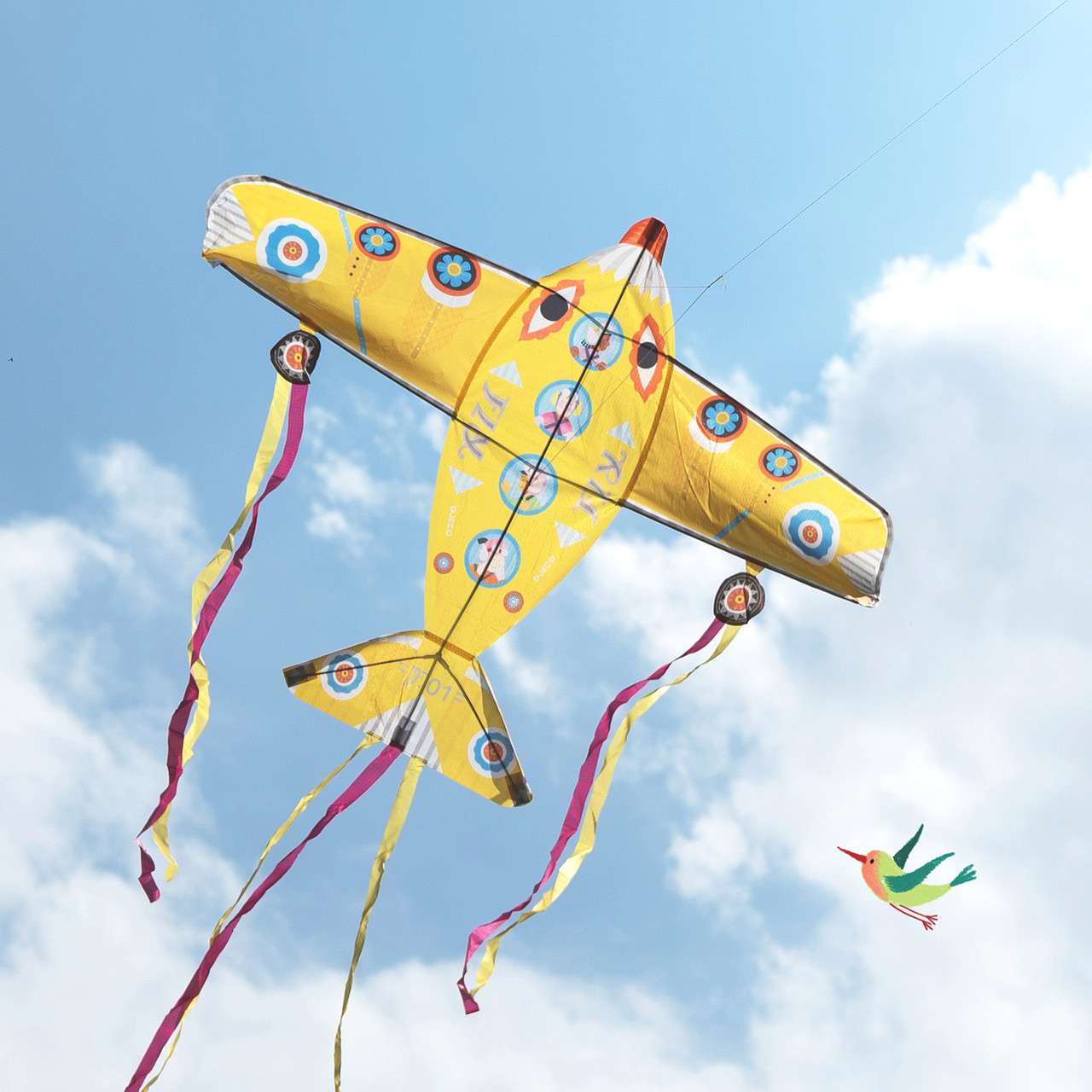 Giant Maxi Plane Kite 1