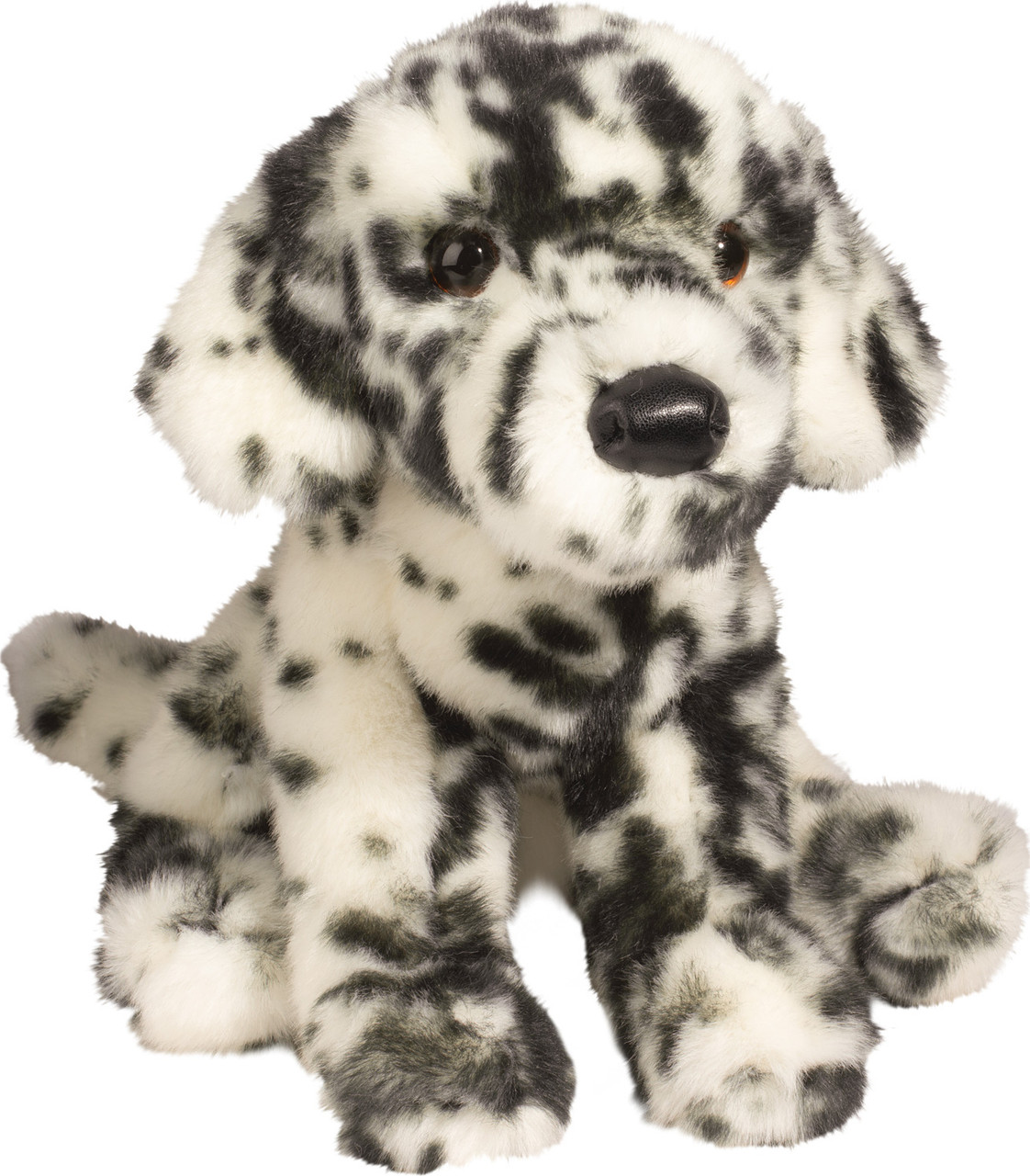 Mackay Dalmatian 1