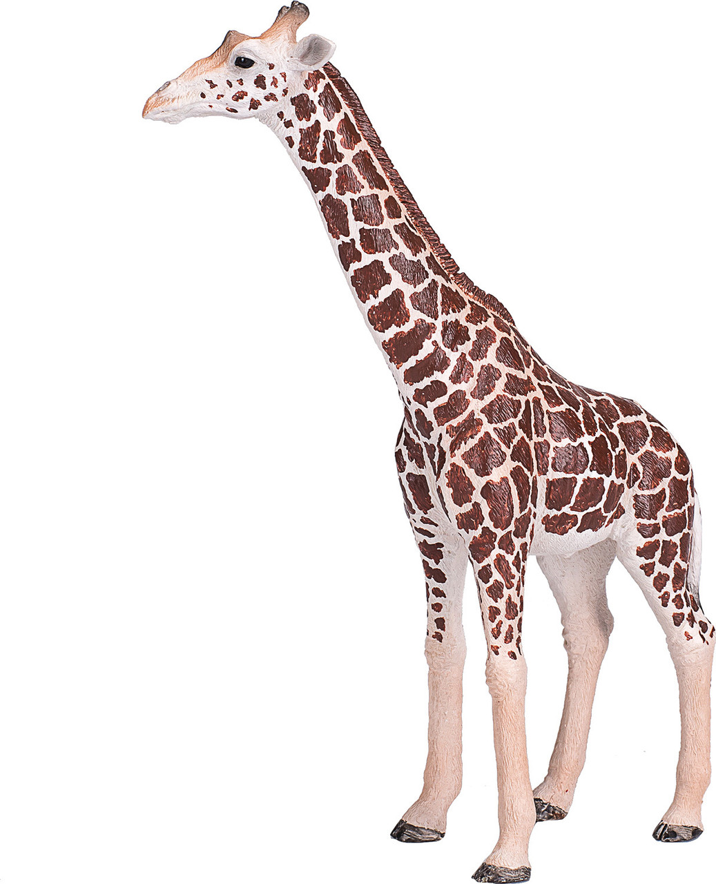 Giraffe Male 4