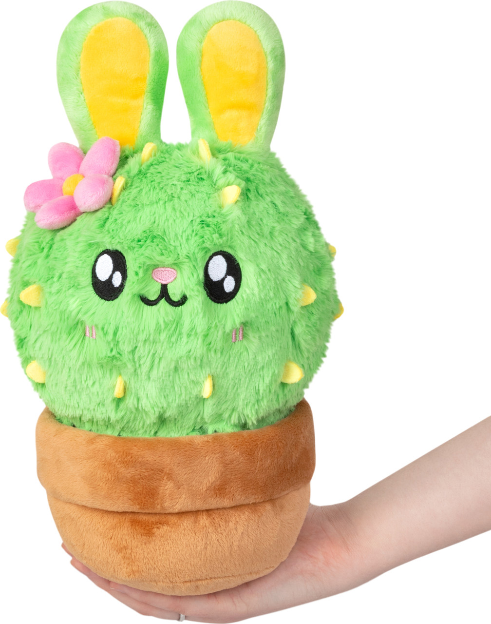 Mini Squishable Bunny Cactus 1