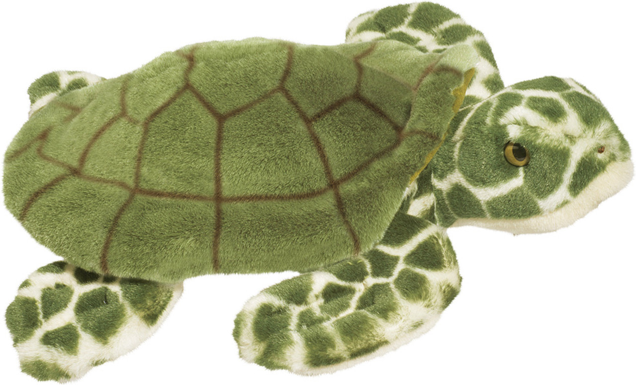 Douglas Toti Sea Turtle 1