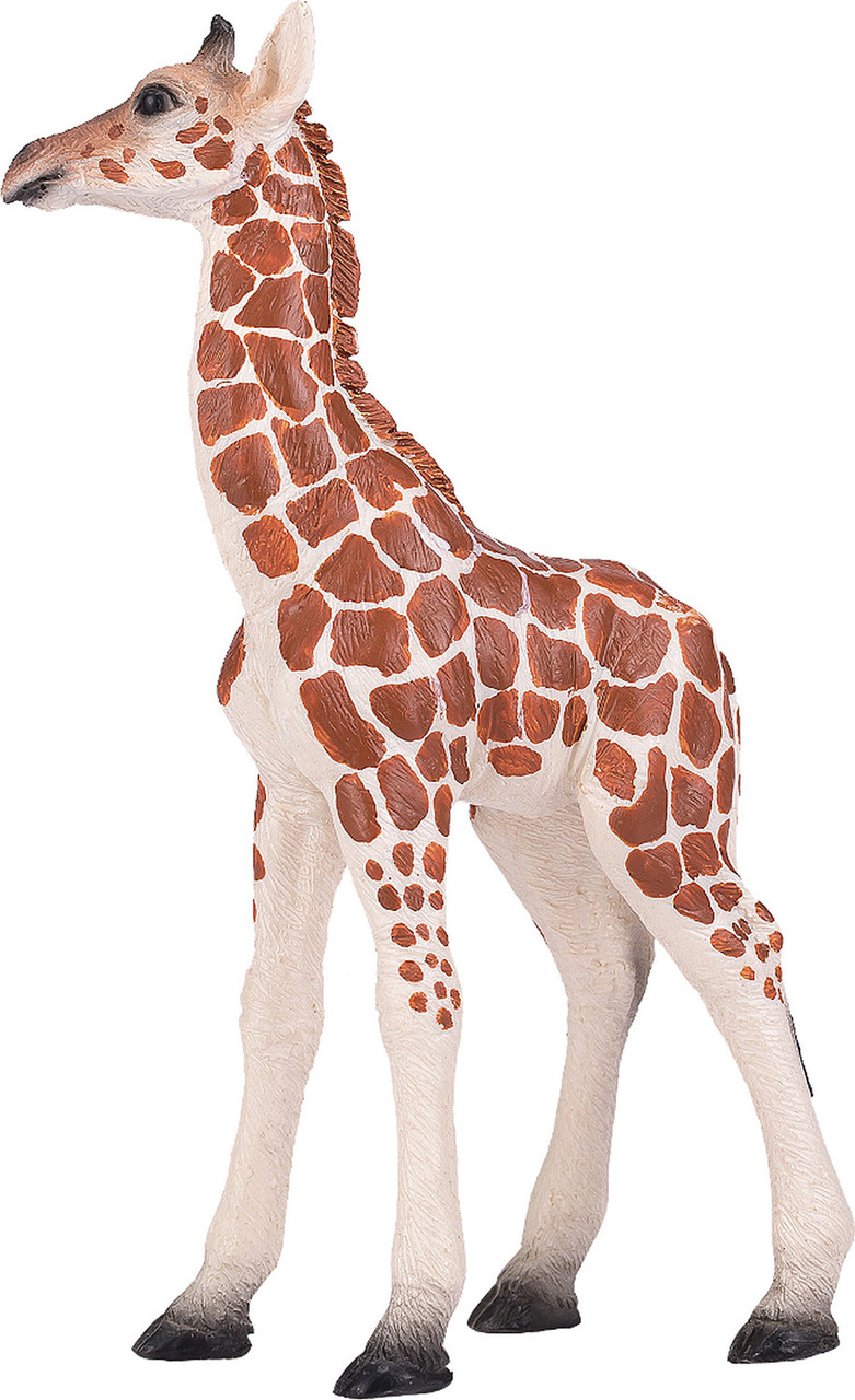 Giraffe (young) 2