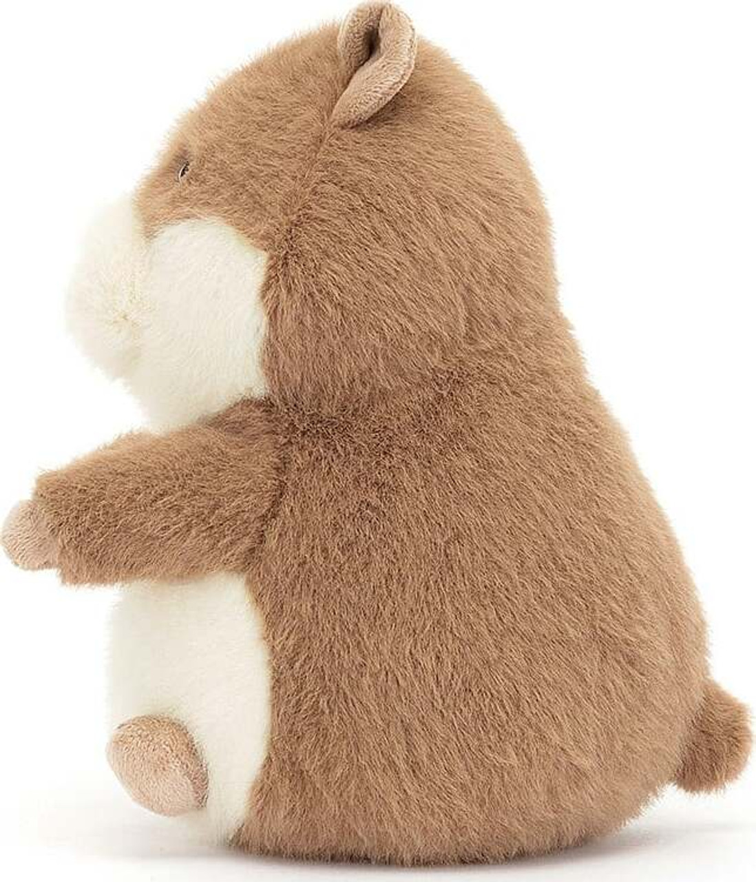 Gordy Guinea Pig 2