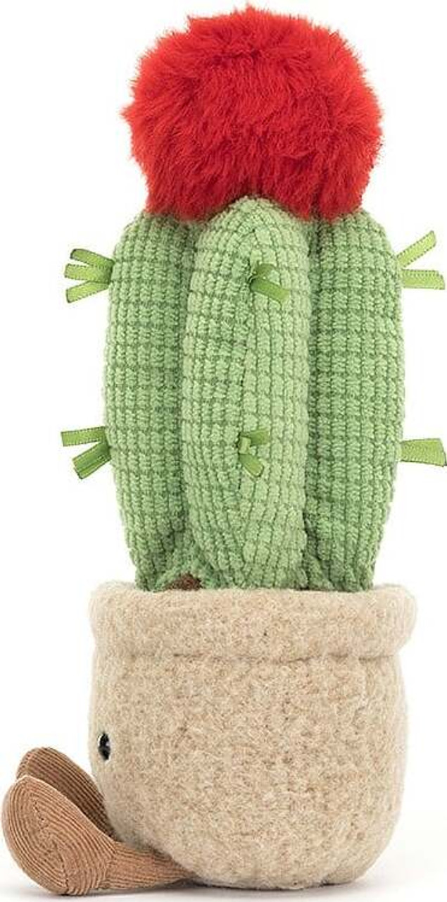 Amuseable Moon Cactus 2