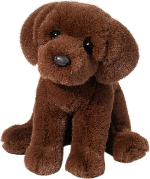 Zoom Chocolate Lab 1 Zoom Chocolate Lab 1