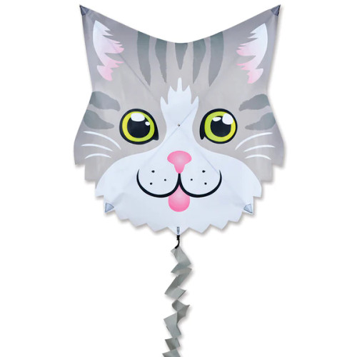 Fun Flyer Grey Cat