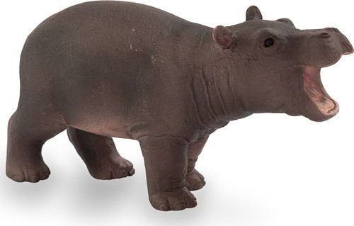 Hippo Baby 1