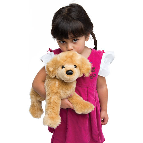 Bella Golden Retriever