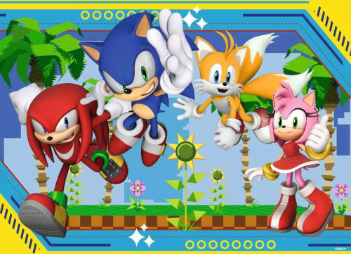 Sonic The Hedgehog 100 Pc. Puzzle Sonic The Hedgehog 100 Pc. Puzzle