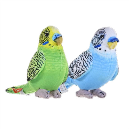 Mini Budgie