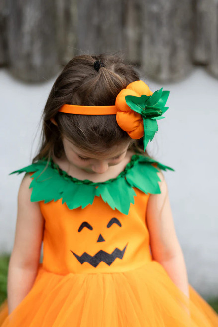 Pumpkin Patch Princess Dress Size 2t