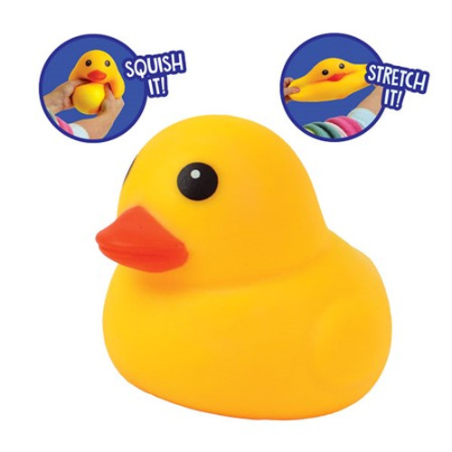 My Pet Duck