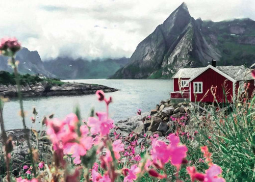 Lofoten Norway 1000 Pc