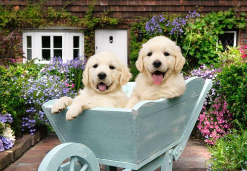 Golden Retriever 200 Pc