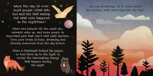 Nighttime A Shine-A-Light Book 2