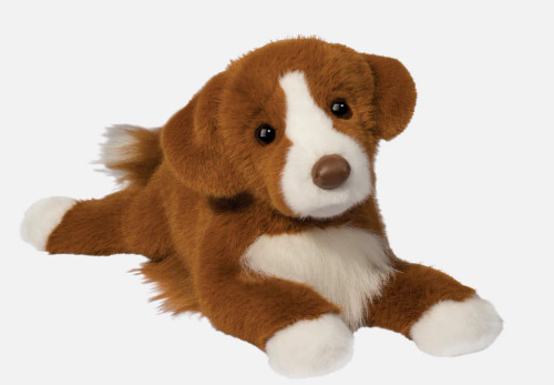 Rush Duck Tolling Retriever