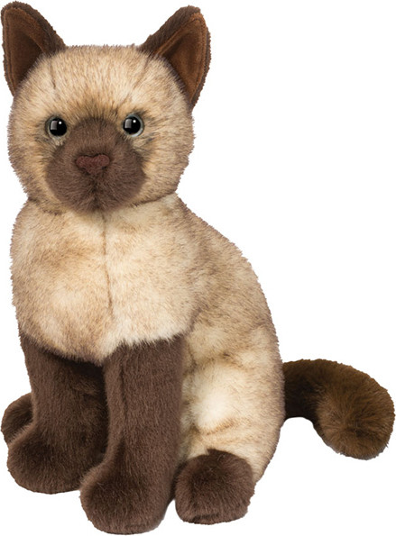 Chai Siamese Cat 1