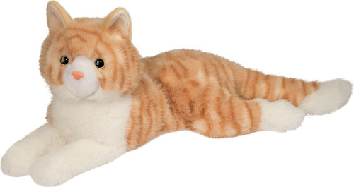 Mango Orange Cat 1