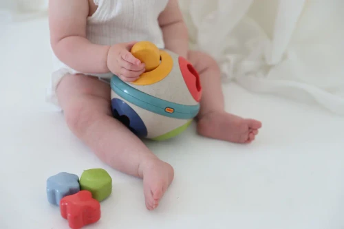 Tolo Rolling Ball Shape Sorter