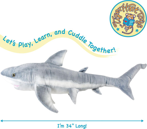Sammy Shark