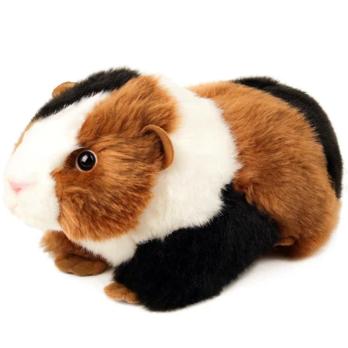 Gianni The Guinea Pig