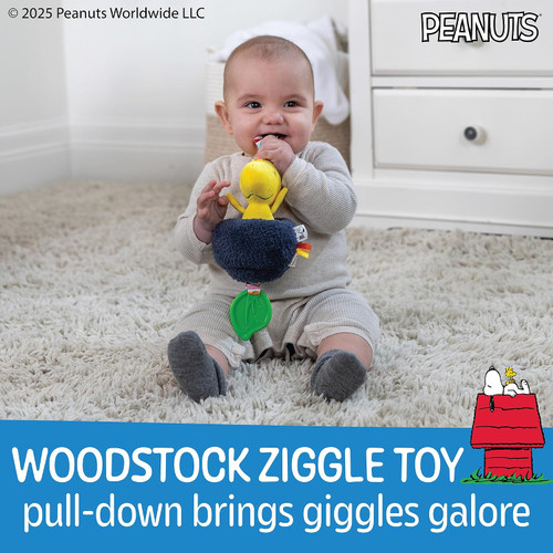 Woodstock Pulldown Activity Toy