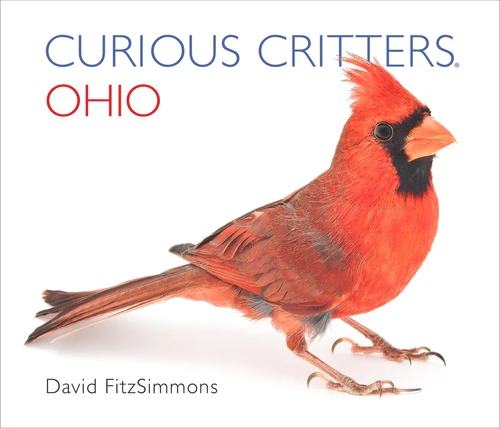Curious Critters Ohio 1