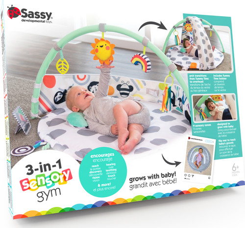 3-In-1 Sensory Zone Milestone Gym 1