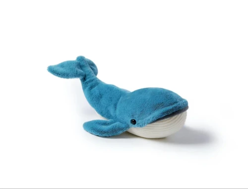 Free Blue Whale