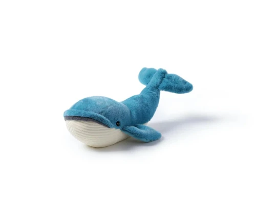 Free Blue Whale