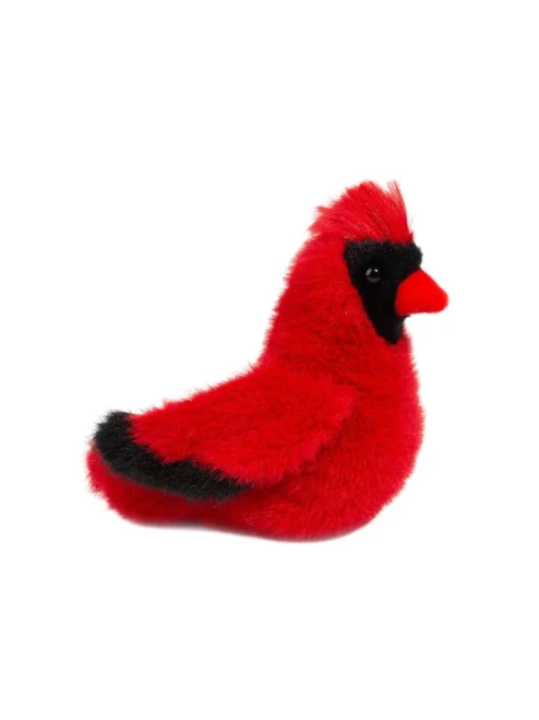 Carlie Cardinal Softie