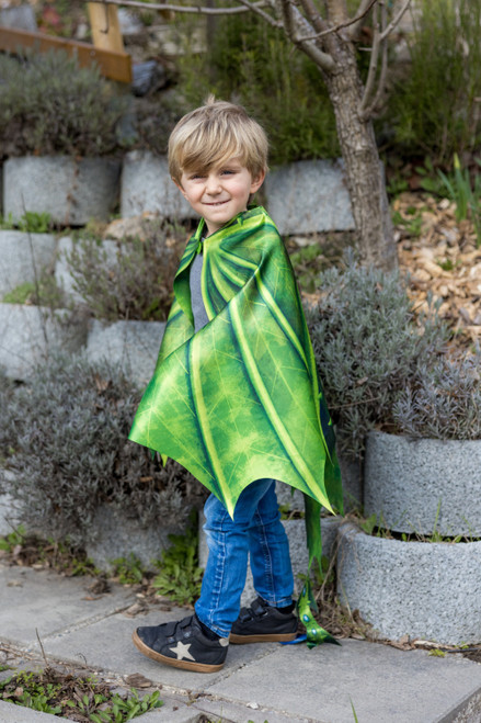 Legendary Dragon Soft Wings (size 4-6) 1