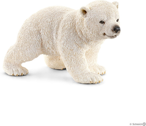 Polar Bear Cub, Walking 1