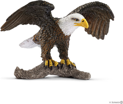 Bald Eagle 1