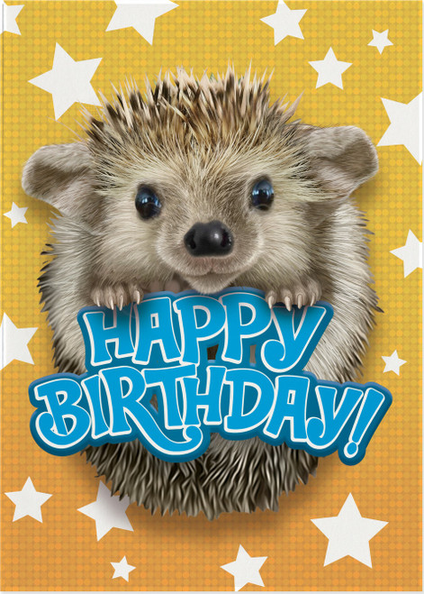 Hedgehog Photo Card 2