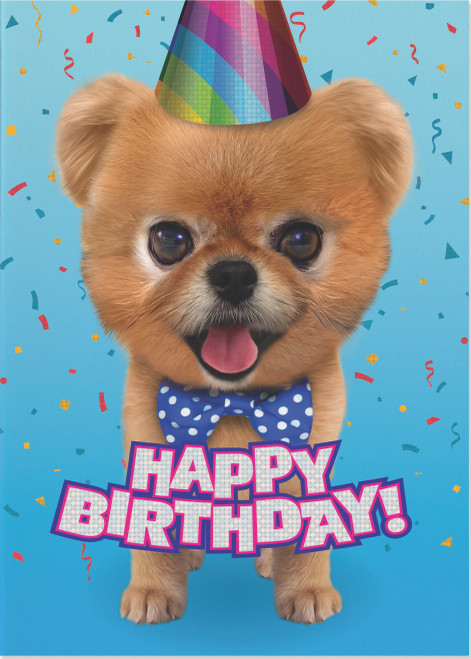 Teddy Bear Pomeranian Foil Card 2 Teddy Bear Pomeranian Foil Card 2
