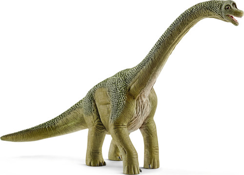 Brachiosaurus 2