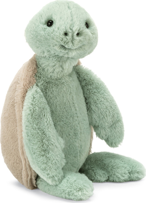 Bashful Turtle 2