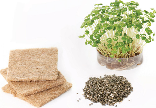 Build & Grow Magical Land 2