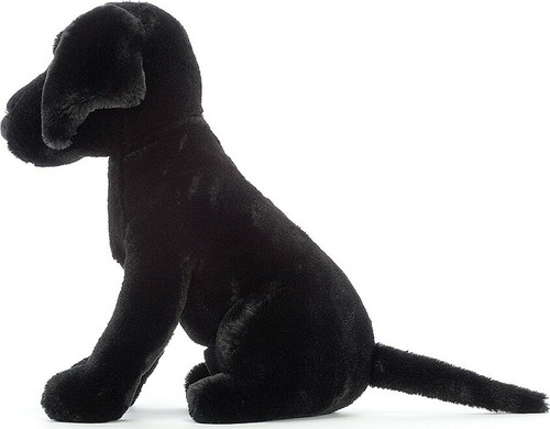 Pippa Black Labrador 2